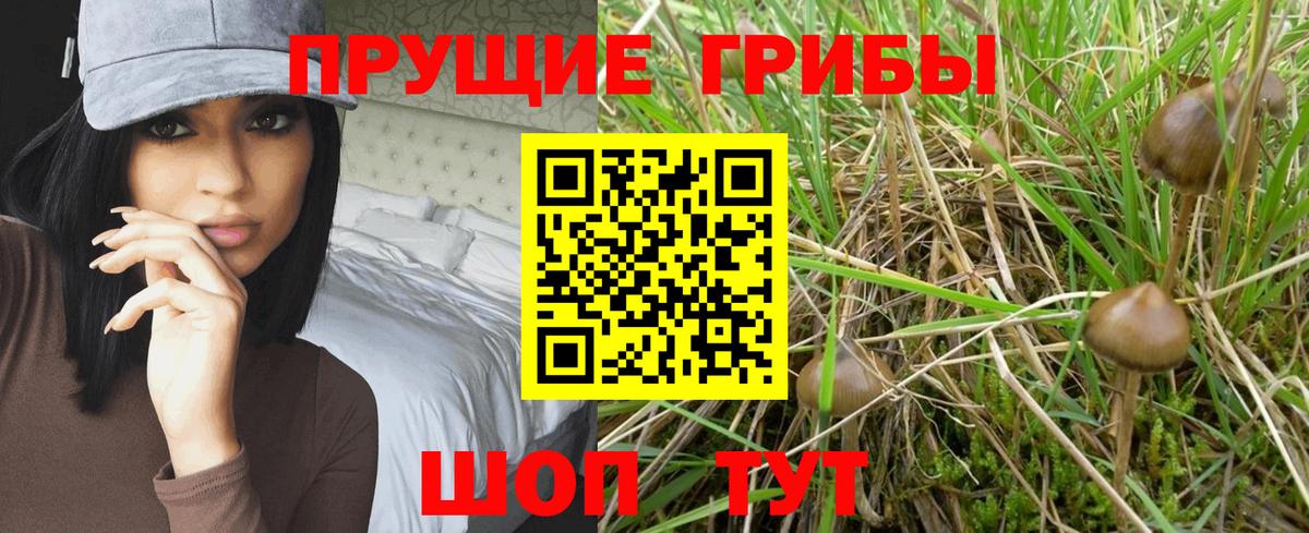 Галлюциногенные грибы прущие грибы Новотроицк